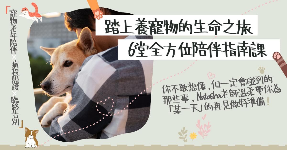 踏上養寵物的生命之旅:6堂全方位陪伴指南課